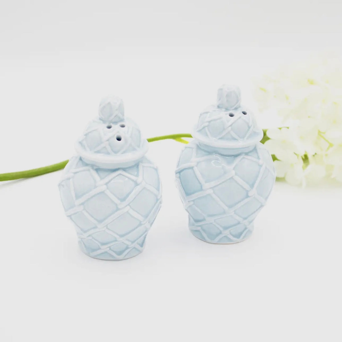 Ginger Jar Salt and Pepper Shakers - Light Blue