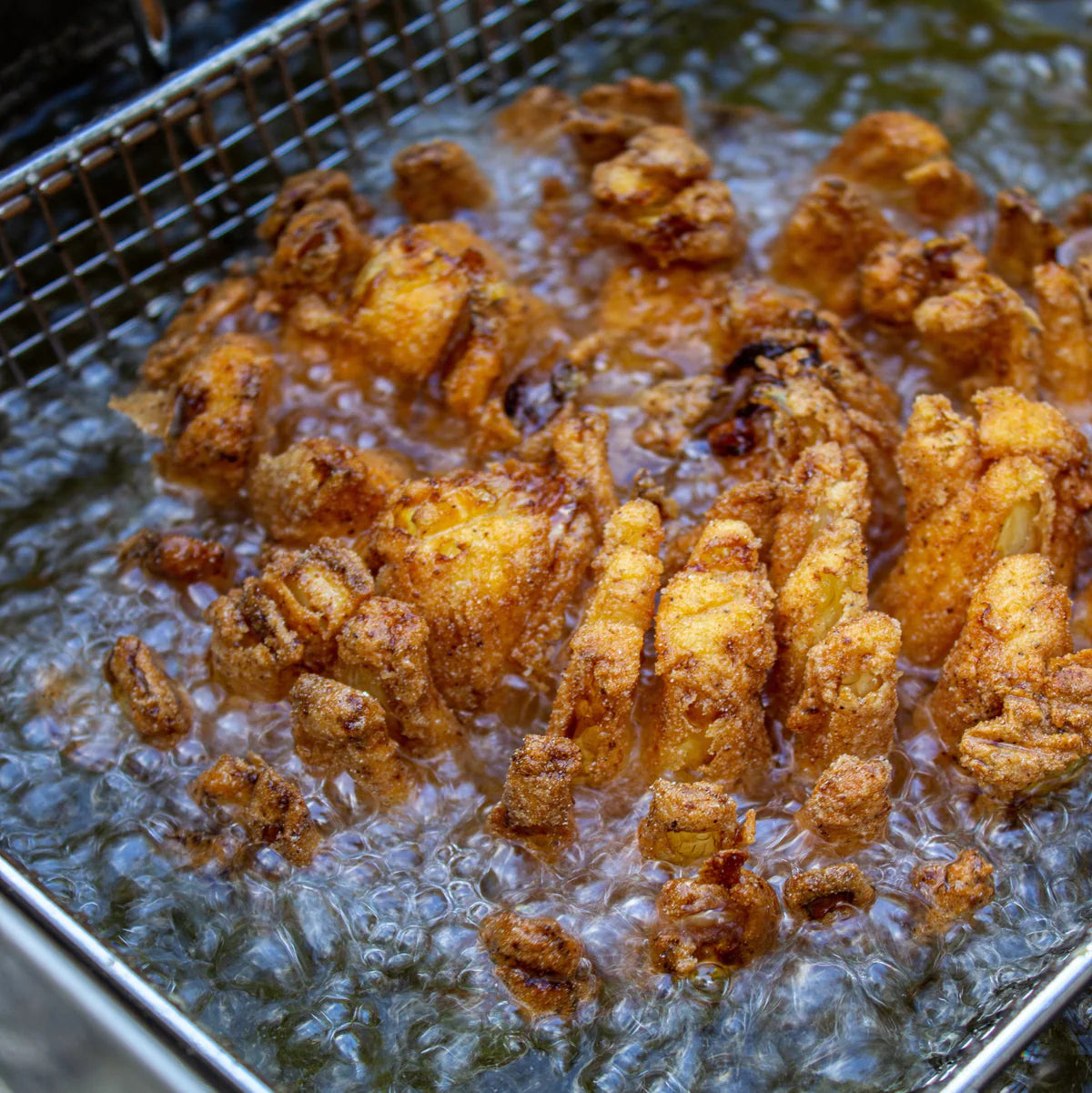 2.5-gal Stainless Bayou Fryer