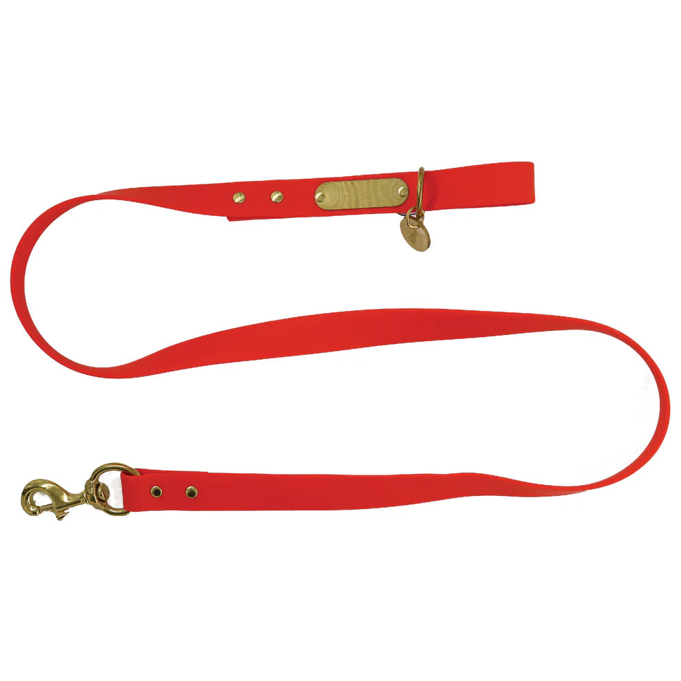 Biothane Dog Leash -  Orange