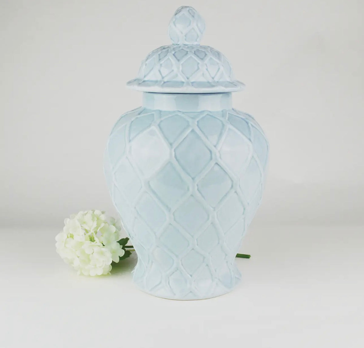 Large Ginger Jar - Light Blue