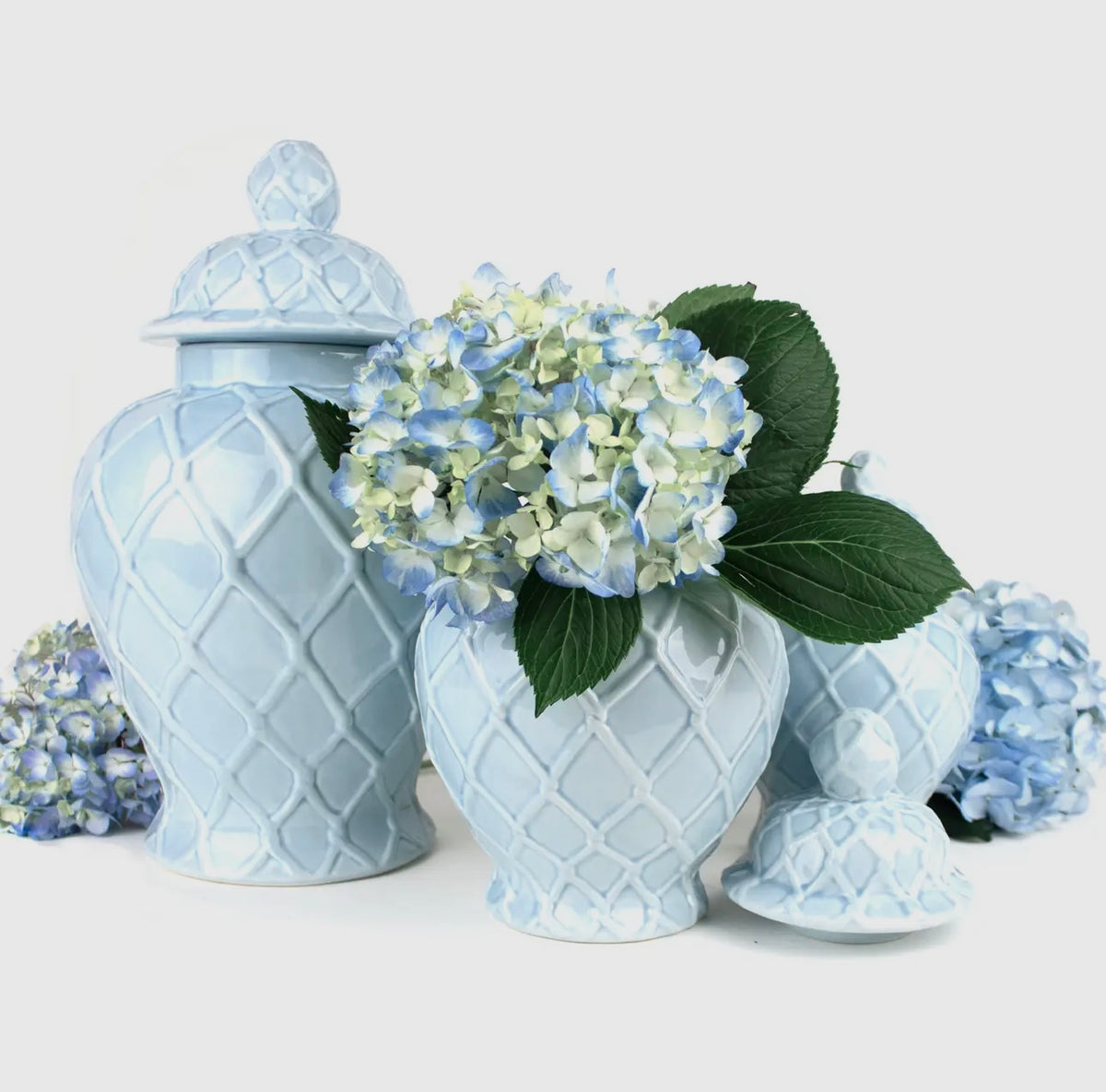 Large Ginger Jar - Light Blue