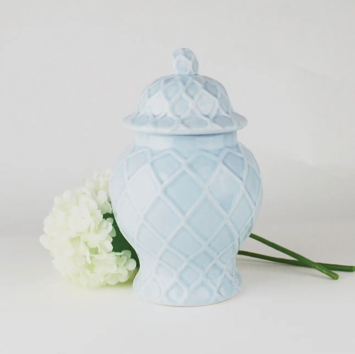 Small Ginger Jar - Light Blue