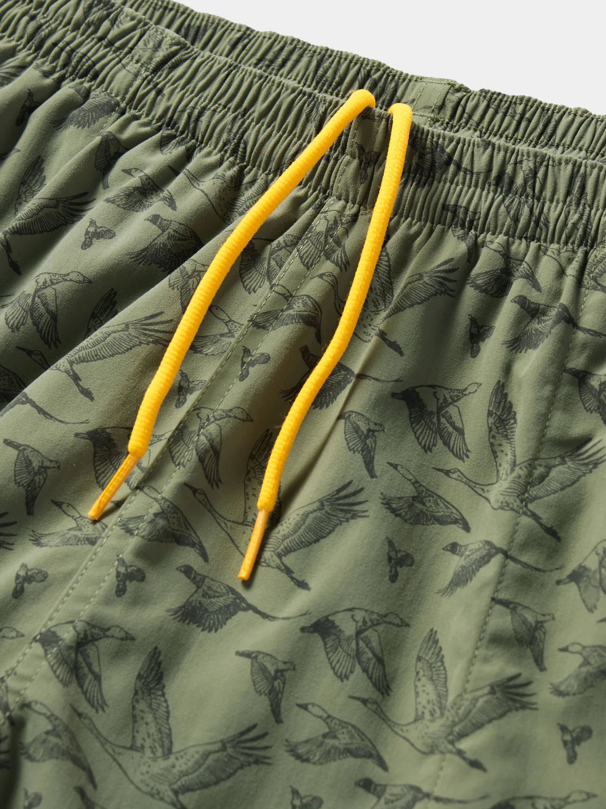 Scout Shorts 5" Inseam- Birds Of A Feather