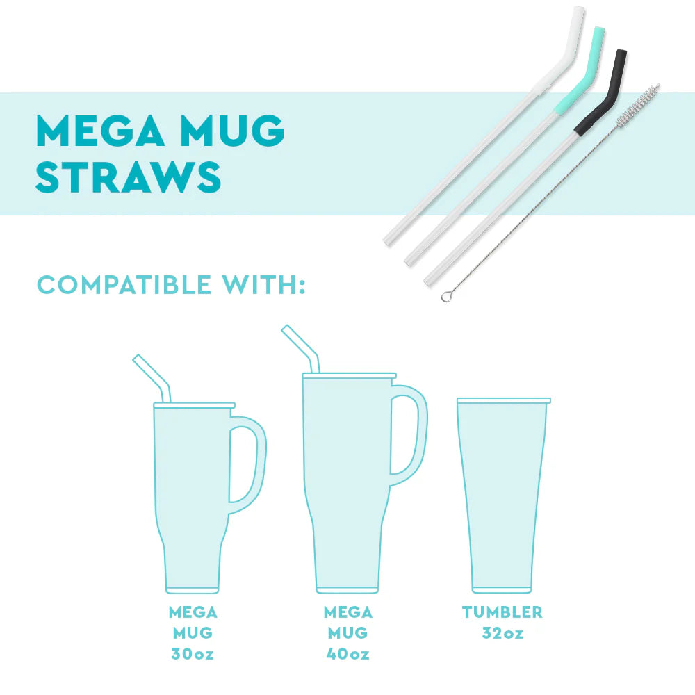 BLUSH/CORAL/HOT PINK Mega Mug Straws