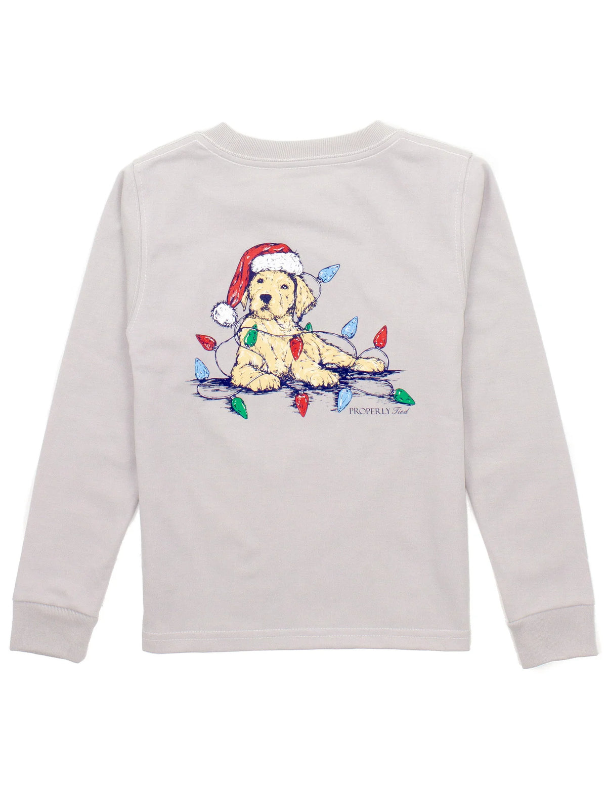 Boys Santa Paws LS - Ice Grey