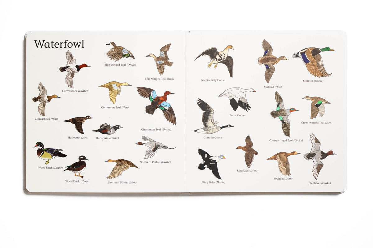 The Big Book of Hunting