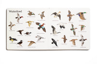 The Big Book of Hunting