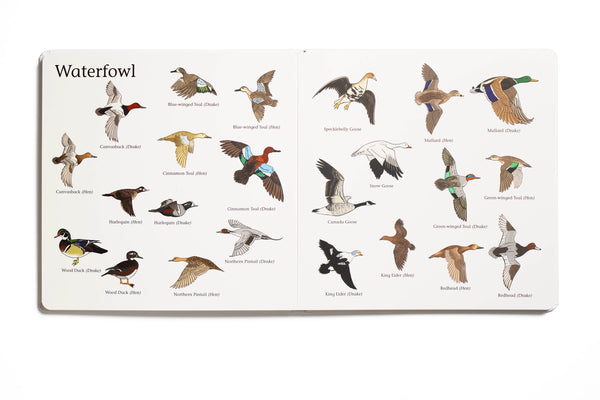 The Big Book of Hunting