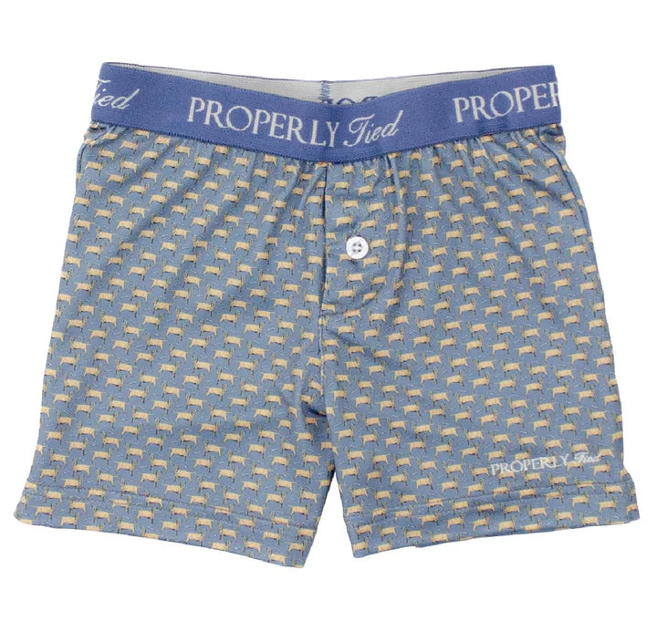 Boys Inlet Boxer  Boxer Up