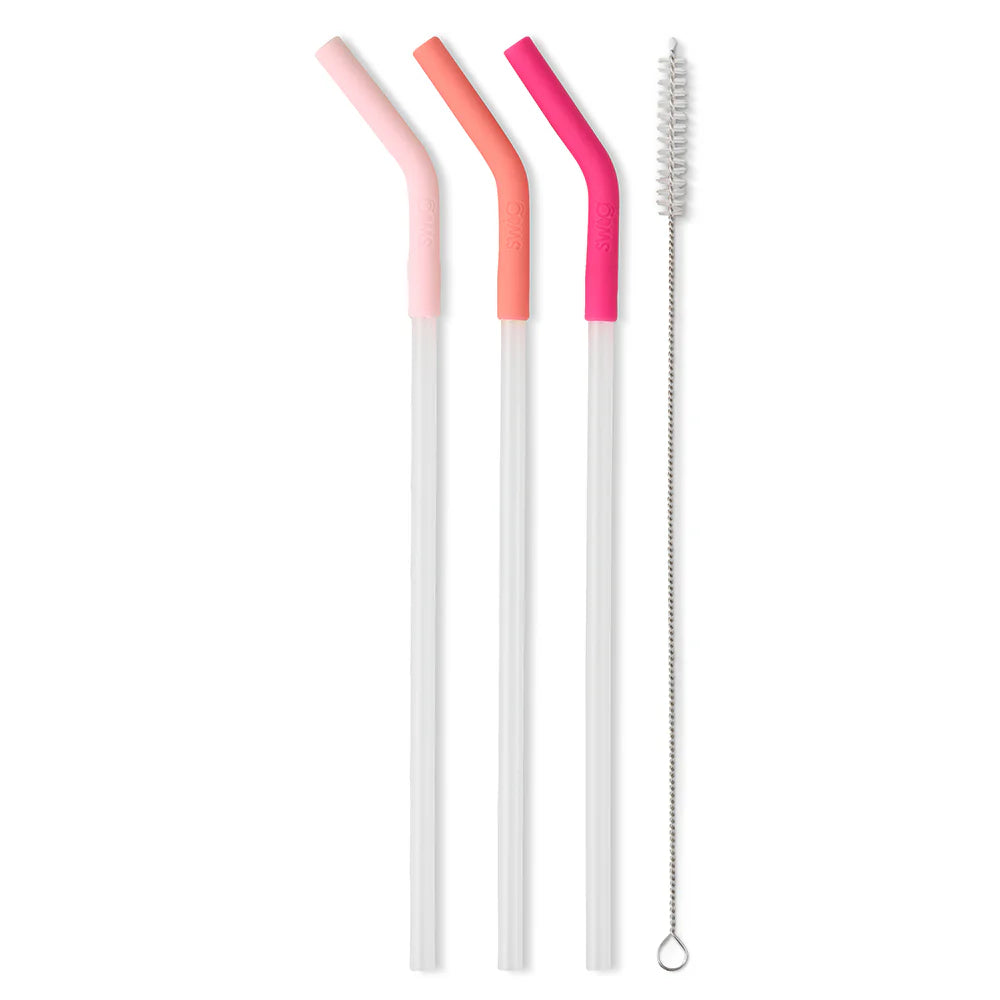 BLUSH/CORAL/HOT PINK Mega Mug Straws